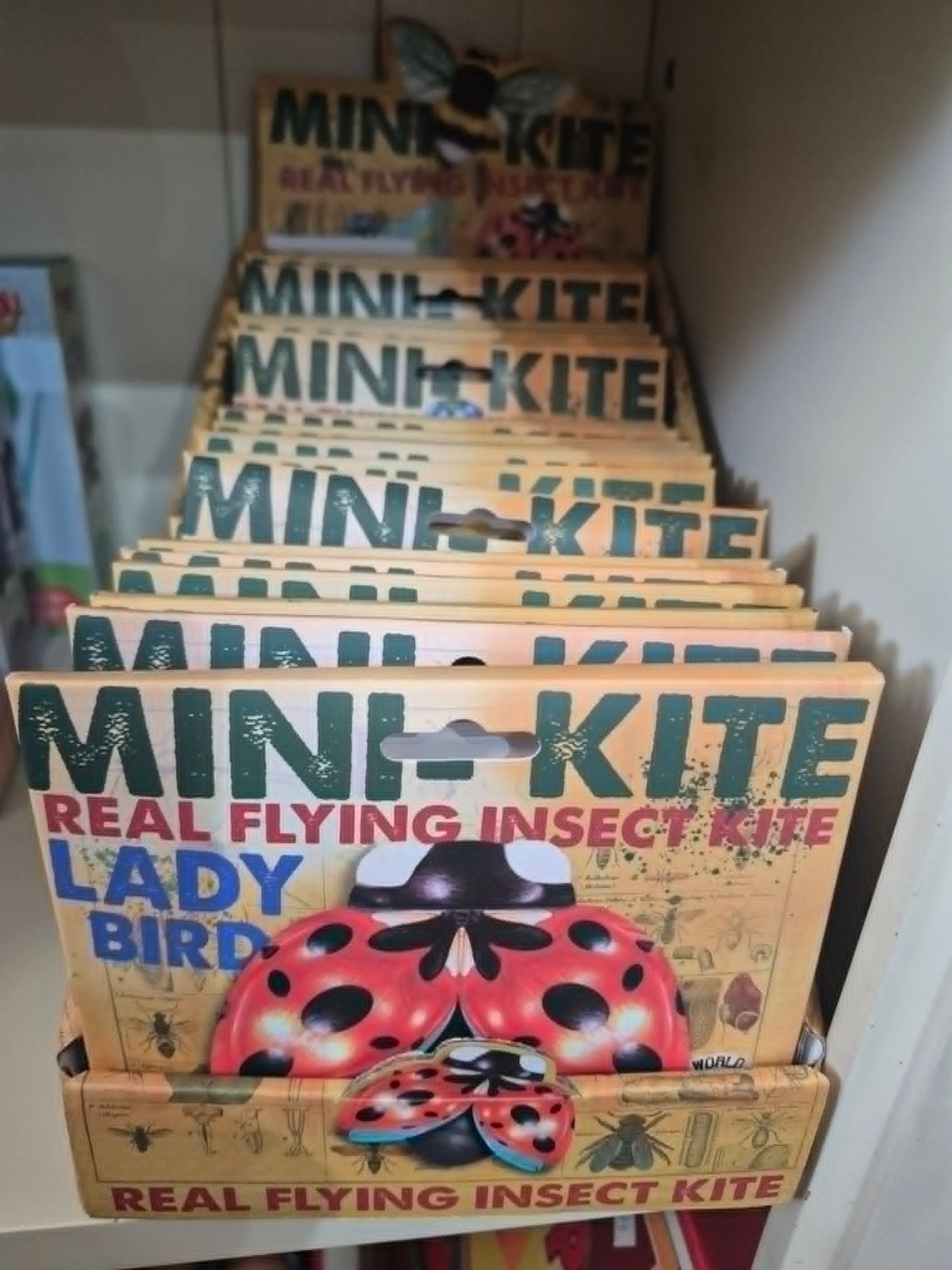 Mini-Kite Ladybird Flying Kite | Real Flying Insect Kite for Kids